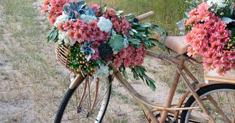 Bienvenida para una boda en pleno campo