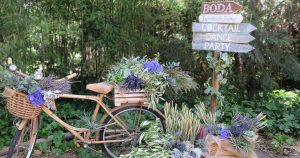 La lavanda y la boda de Sandra y Jaime