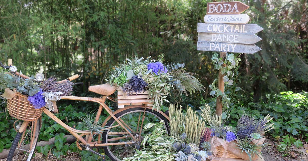 La lavanda y la boda de Sandra y Jaime