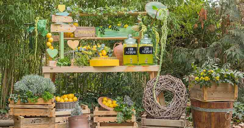 Los 10 colores de moda primavera-verano 2016