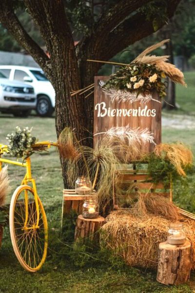 Las 10 mejores ideas para decorar eventos con alpacas de paja - Tu ...