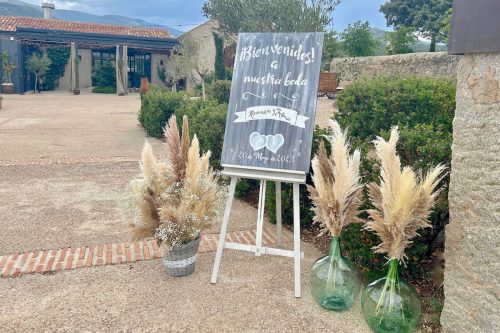 decoracion-boda-con-plumeros