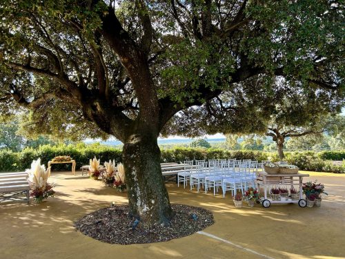 decoracion-de-bodas-con-plumero