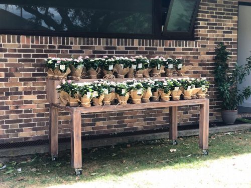 mesa-rustica-para-eventos-corporativos