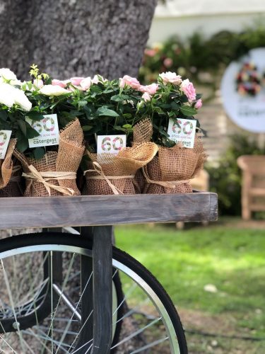 mobiliario-rustico-para-eventos-corporativos